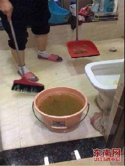 管道堵塞污水倒灌 厦门一住房两月三变“化粪池”