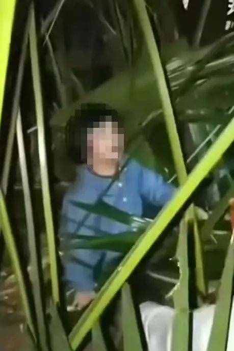 又一名孩子由高楼坠落！这些重要标准你家达到了吗？