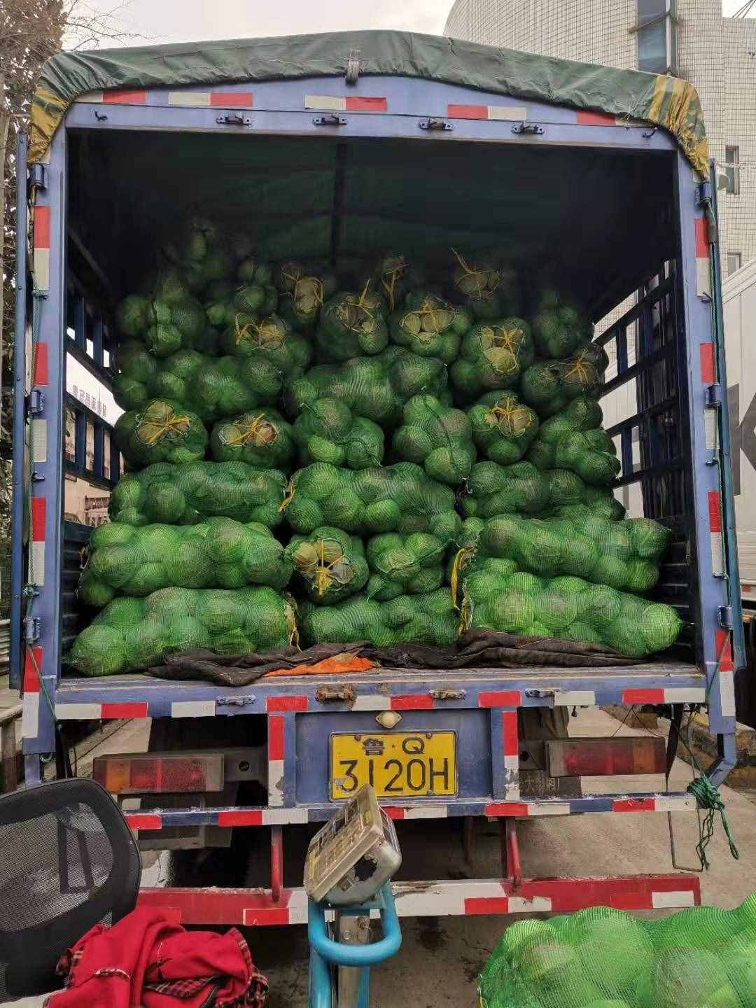这个上海最大的蔬菜批发市场今天供应6000吨蔬菜，大白菜价格已回落至8元至0元/500克