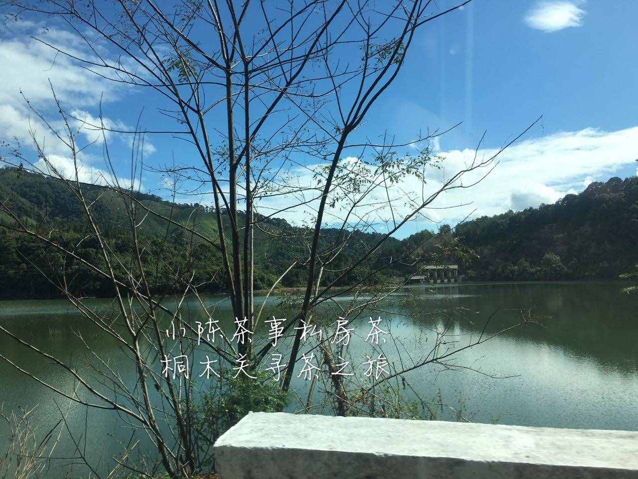 有人说，金骏眉采一芽一叶？看完这三点红茶知识，别被掌柜绕晕了