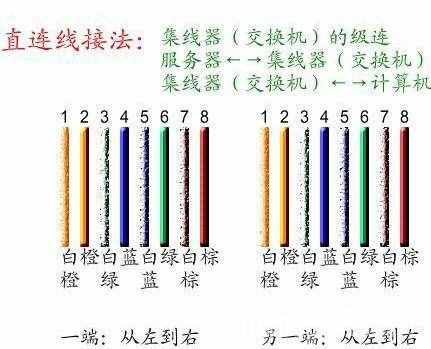 网线接法图解 手把手教你怎么接网线
