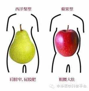 今天，我们来聊一聊三围