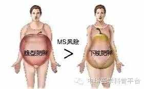 今天，我们来聊一聊三围
