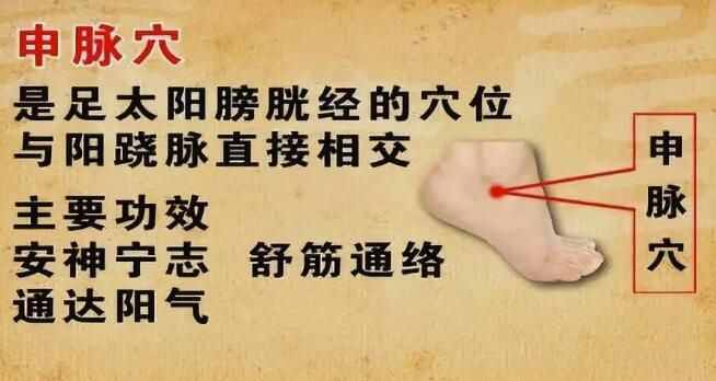 人体生命线“奇经八脉”，每天按摩，气血更足