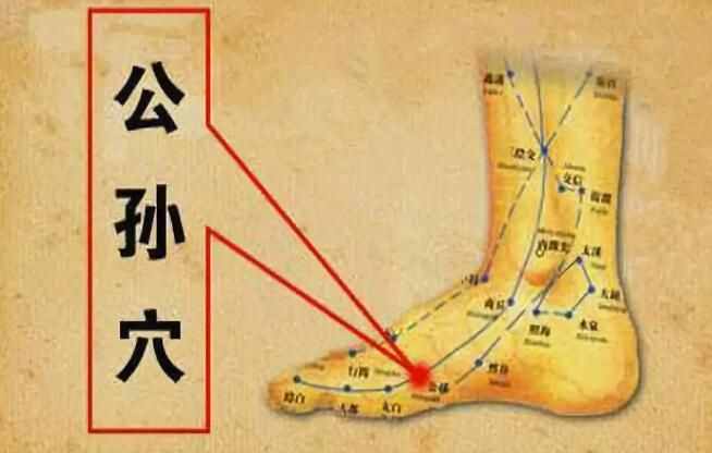 人体生命线“奇经八脉”，每天按摩，气血更足