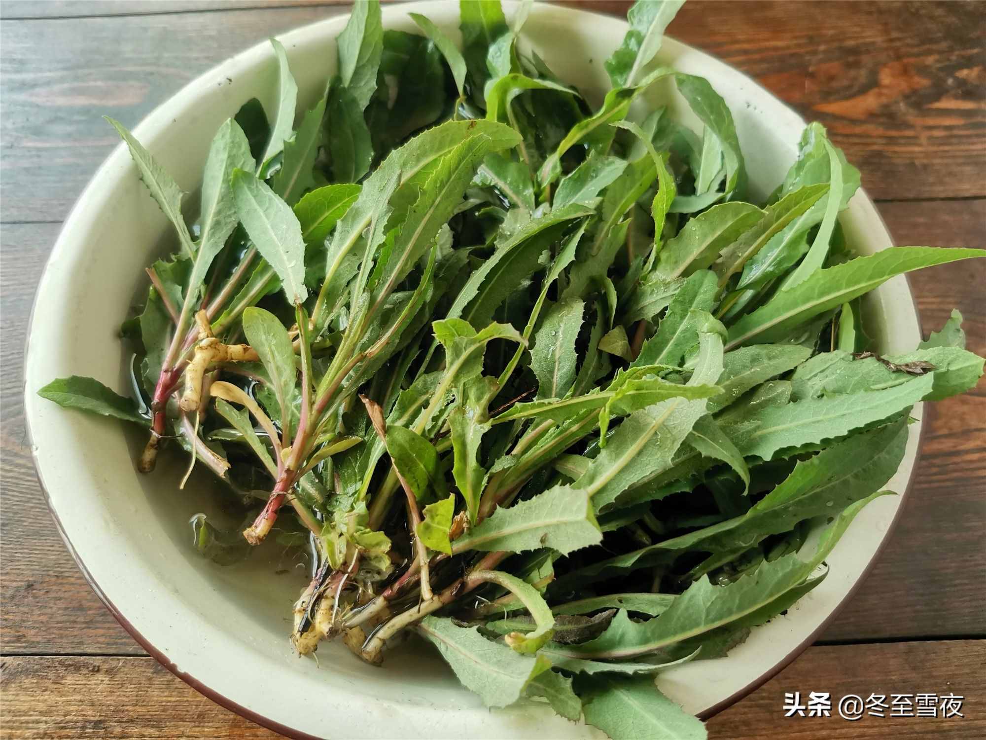 东北农村，常吃的16种山野菜，现在城市里很少见，你吃过几种？