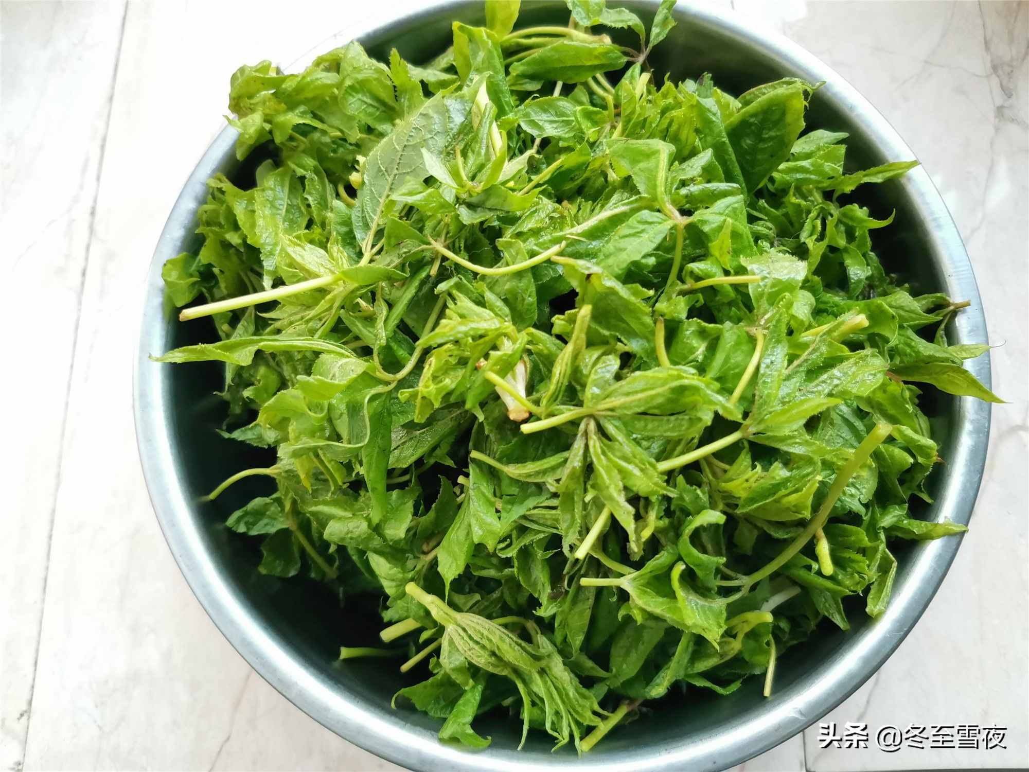 东北农村，常吃的16种山野菜，现在城市里很少见，你吃过几种？