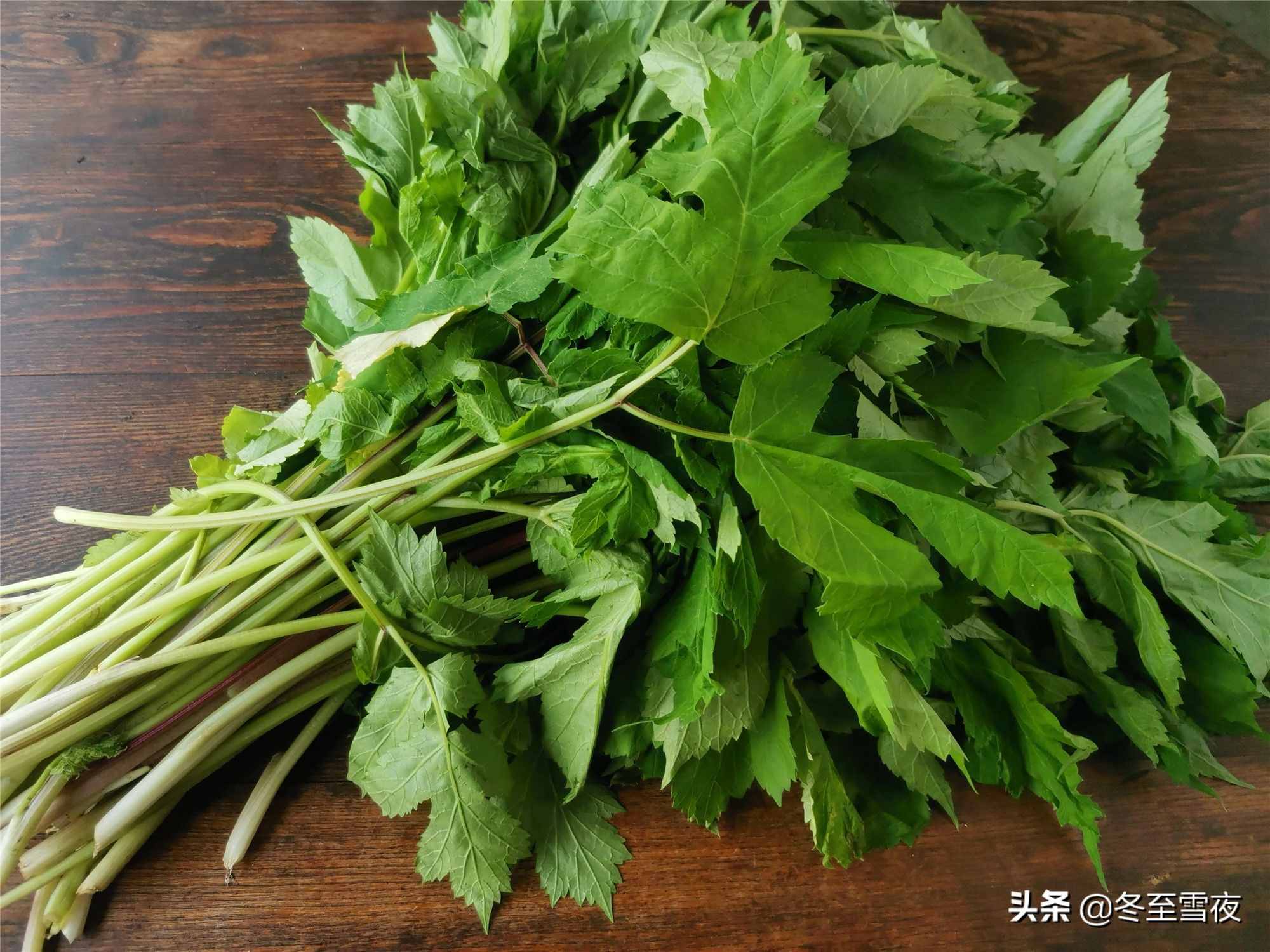 东北农村，常吃的16种山野菜，现在城市里很少见，你吃过几种？
