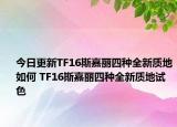 今日更新TF16斯嘉丽四种全新质地如何 TF16斯嘉丽四种全新质地试色