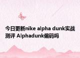 今日更新nike alpha dunk实战测评 Alphadunk偏码吗