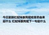 今日更新红配绿赛狗屁啥意思由来是什么 红配绿赛狗屁下一句是什么