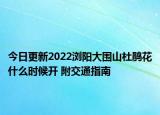 今日更新2022浏阳大围山杜鹃花什么时候开 附交通指南