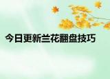 今日更新兰花翻盘技巧