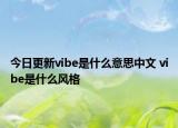 今日更新vibe是什么意思中文 vibe是什么风格