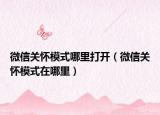 微信关怀模式哪里打开（微信关怀模式在哪里）