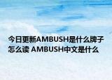 今日更新AMBUSH是什么牌子怎么读 AMBUSH中文是什么