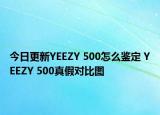 今日更新YEEZY 500怎么鉴定 YEEZY 500真假对比图