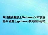 今日更新亚瑟士Gelhoop V12实战测评 亚瑟士gelhoop系列有小码吗