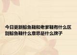 今日更新鲸鱼鞋和老爹鞋有什么区别鲸鱼鞋什么意思是什么牌子