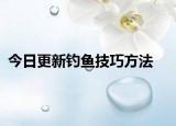 今日更新钓鱼技巧方法