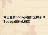 今日更新Bodega是什么牌子 ​Bodega是什么档次