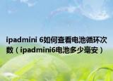 ipadmini 6如何查看电池循环次数（ipadmini6电池多少毫安）