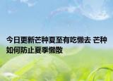 今日更新芒种夏至有吃懒去 芒种如何防止夏季懒散