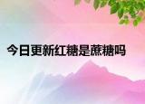 今日更新红糖是蔗糖吗