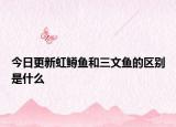今日更新虹鳟鱼和三文鱼的区别是什么