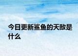 今日更新鲨鱼的天敌是什么