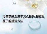 今日更新车厘子怎么挑选,新鲜车厘子的挑选方法