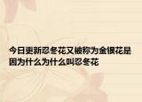 今日更新忍冬花又被称为金银花是因为什么为什么叫忍冬花