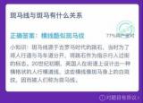 今日更新斑马线与斑马有什么关系（斑马线与斑马有什么关系）