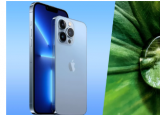 苹果iPhone微距摄影照片揭示了您的手机真正可以做什么