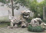 今日更新苏州狮子林门票（拙政园和狮子林）