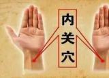 今日更新奇经八脉图（人体生命线奇经八脉）