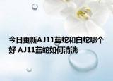 今日更新AJ11蓝蛇和白蛇哪个好 AJ11蓝蛇如何清洗