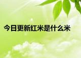 今日更新红米是什么米