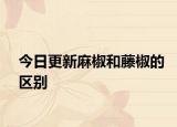 今日更新麻椒和藤椒的区别
