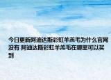 今日更新阿迪达斯彩虹羊羔毛为什么官网没有 阿迪达斯彩虹羊羔毛在哪里可以买到