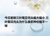 今日更新三叶草贝壳头偏大偏小 三叶草贝壳头为什么很多种价格不一样