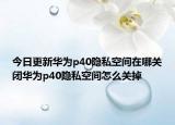今日更新华为p40隐私空间在哪关闭华为p40隐私空间怎么关掉