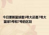 今日更新篮球是5号大还是7号大 篮球5号和7号的区别