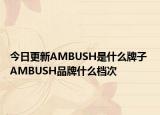今日更新AMBUSH是什么牌子 AMBUSH品牌什么档次