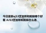 今日更新aj13芝加哥和熊猫哪个好看 AJ13芝加哥和熊猫怎么选