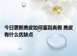 今日更新麂皮如何鉴别真假 麂皮有什么优缺点
