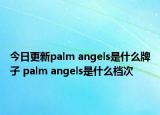 今日更新palm angels是什么牌子 palm angels是什么档次