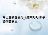 今日更新仓鼠可以晒太阳吗 新手如何养仓鼠