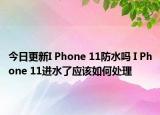 今日更新I Phone 11防水吗 I Phone 11进水了应该如何处理