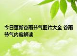 今日更新谷雨节气图片大全 谷雨节气内容解读